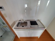 シンク グリーンハウス 102