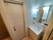 洗面脱衣室 (プレイス二子玉川 305)