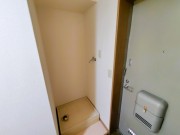 室内洗濯機置場 (リバーサイド皐月 303)